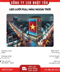 LED lưới P31.25