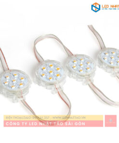 LED DMX F50 Ngoài Trời